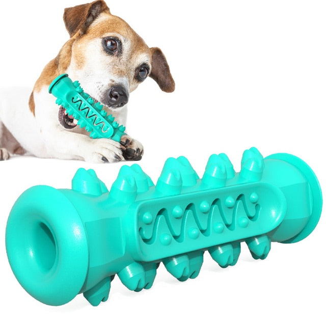 Dog Molar Toothbrush Toys - Orchid Unique