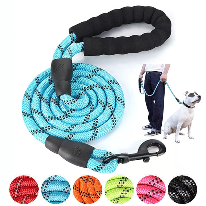 Strong Nylon Dog Leash - Orchid Unique