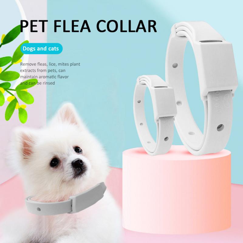 Flea & Tick Prevention Collar & Leads - Orchid Unique