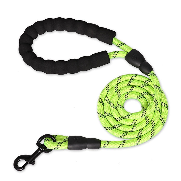Strong Nylon Dog Leash - Orchid Unique