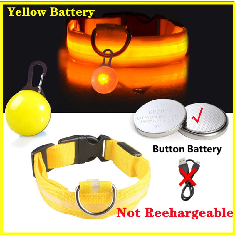 USB-charging glowing dog collar - Orchid Unique
