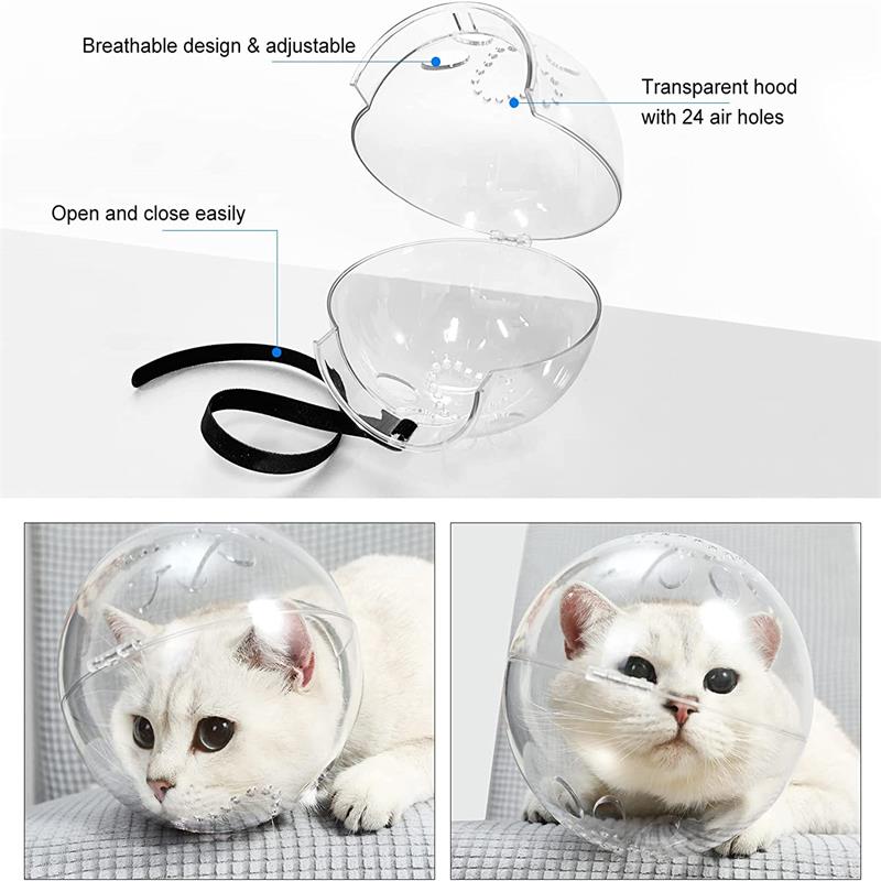 Cat Muzzle & Helmet - Orchid Unique