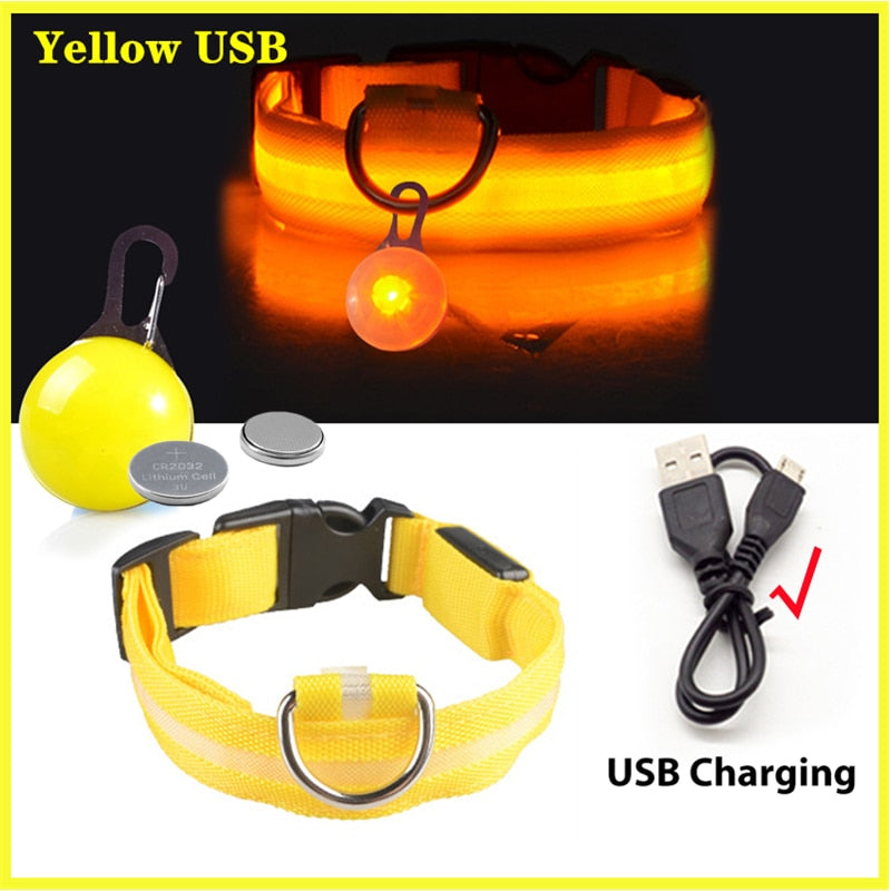 USB-charging glowing dog collar - Orchid Unique