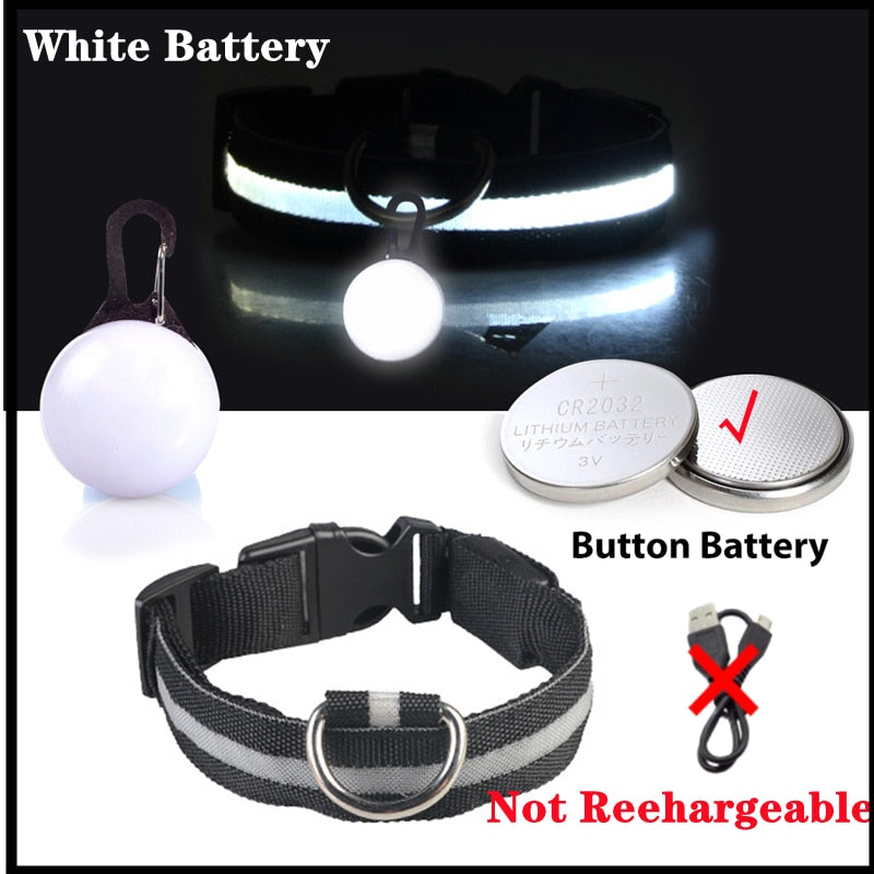 USB-charging glowing dog collar - Orchid Unique