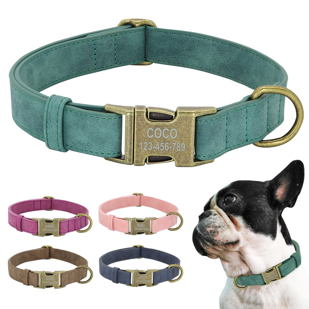 Dog ID Collar - Orchid Unique