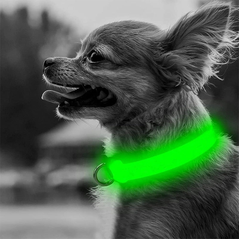 Adjustable LED Dog Collar - Orchid Unique
