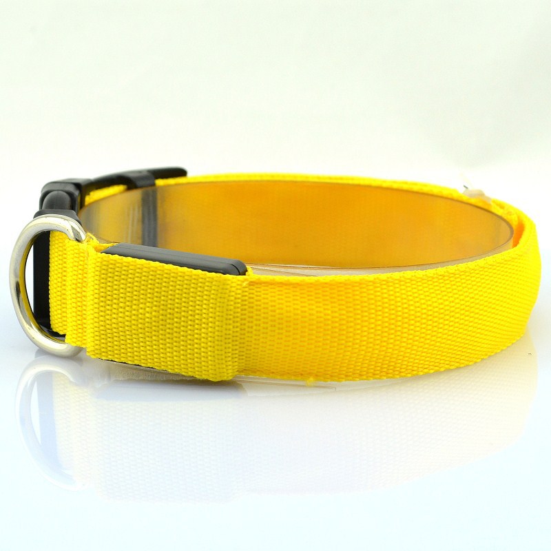 Adjustable LED Dog Collar - Orchid Unique