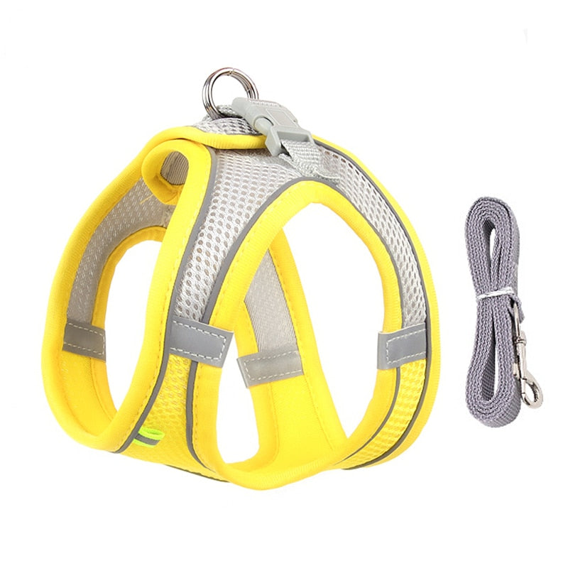 Dog Harness Leash Set - Orchid Unique