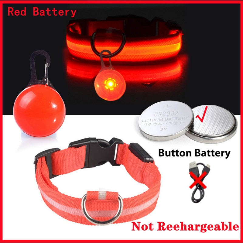 USB-charging glowing dog collar - Orchid Unique