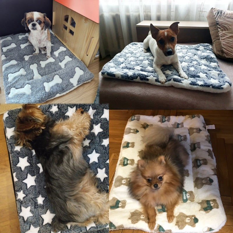 Pet Sleeping Mat - Orchid Unique