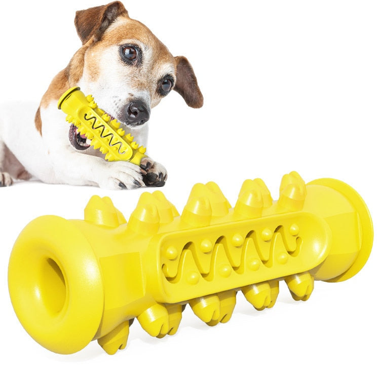Dog Molar Toothbrush Toys - Orchid Unique