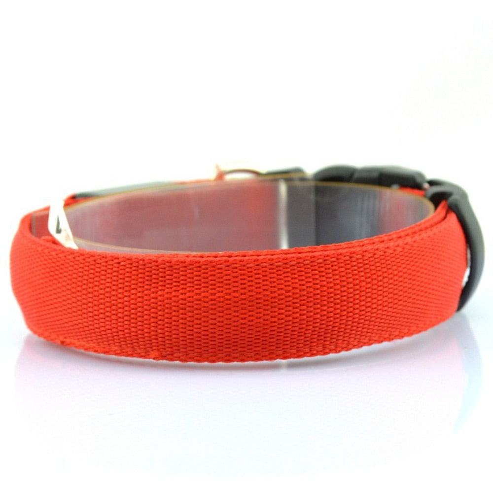 Adjustable LED Dog Collar - Orchid Unique