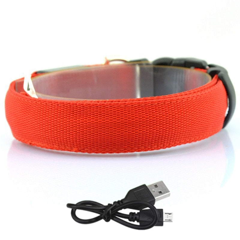 Adjustable LED Dog Collar - Orchid Unique