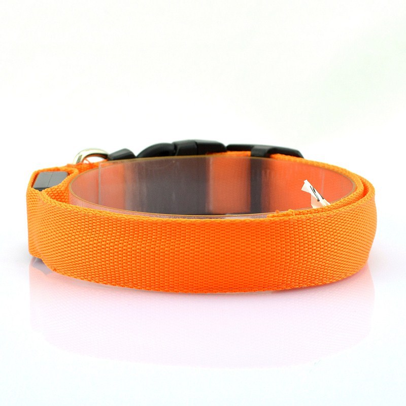 Adjustable LED Dog Collar - Orchid Unique