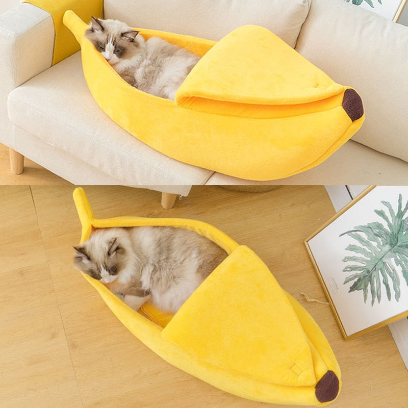 Cute Beds For Cats - Orchid Unique