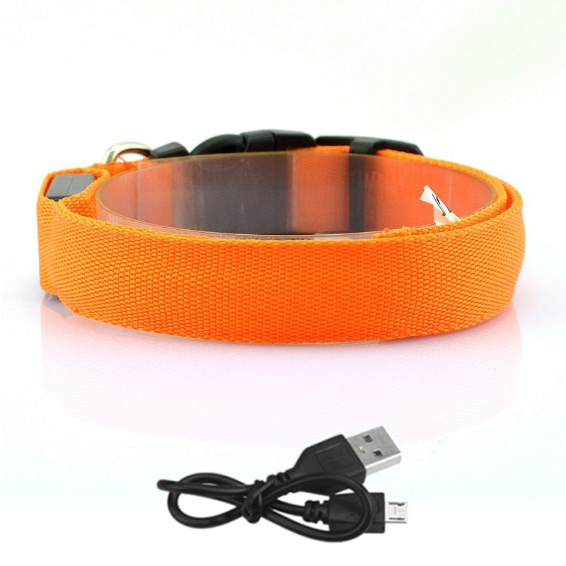 Adjustable LED Dog Collar - Orchid Unique