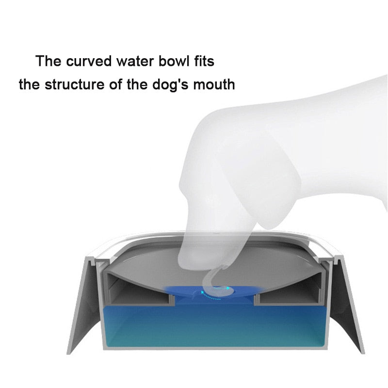 Pet Drinking Bowl - Orchid Unique