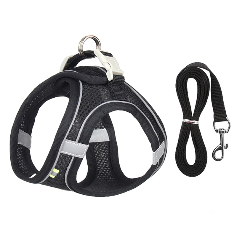 Dog Harness Leash Set - Orchid Unique