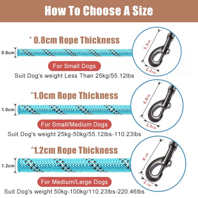 Strong Nylon Dog Leash - Orchid Unique