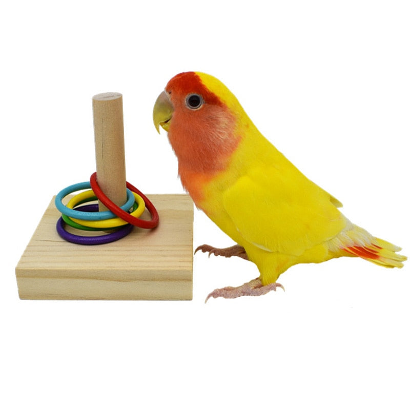 Bird training toy set - Orchid Unique
