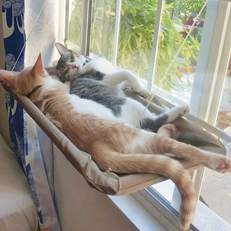 Hanging Cat Bed - Orchid Unique