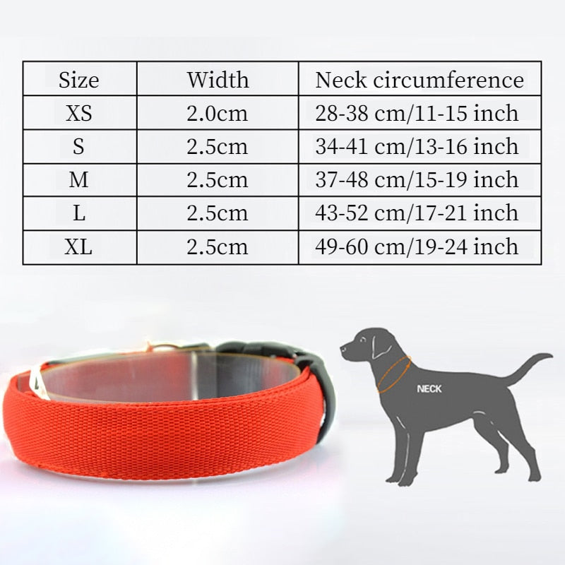 Adjustable LED Dog Collar - Orchid Unique