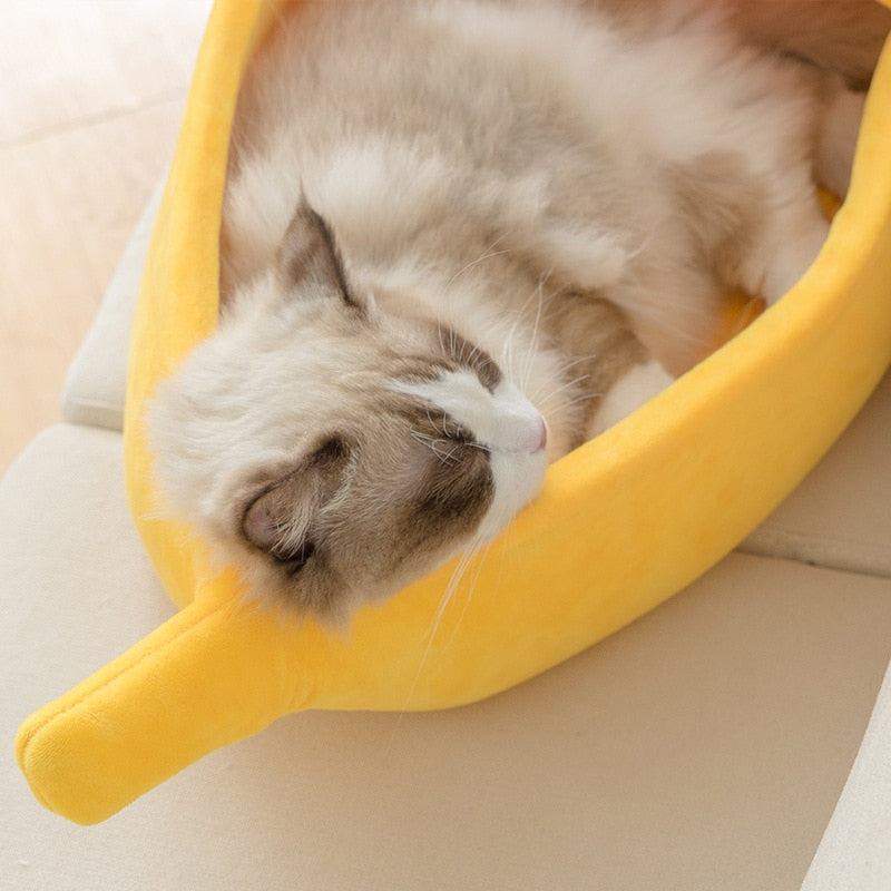 Cute Beds For Cats - Orchid Unique