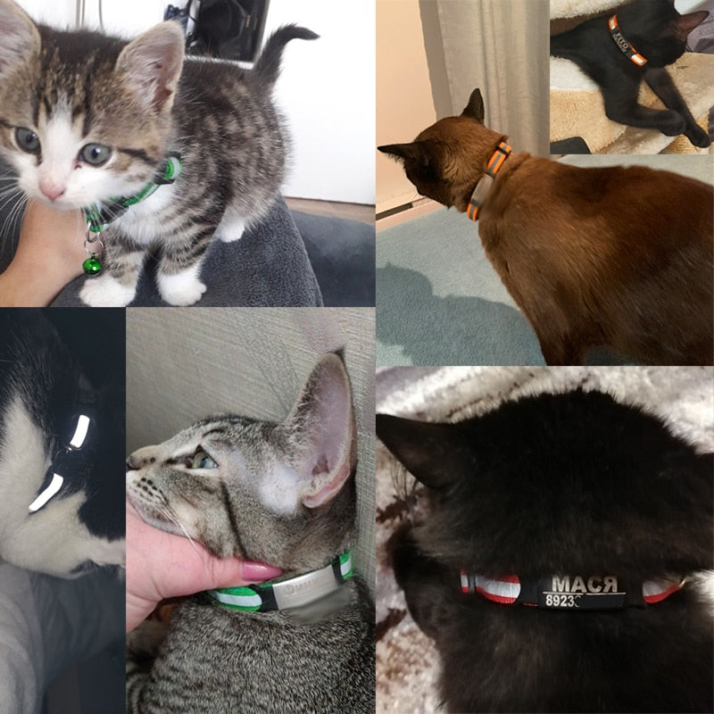 Cat Safety Buckle Collar - Orchid Unique