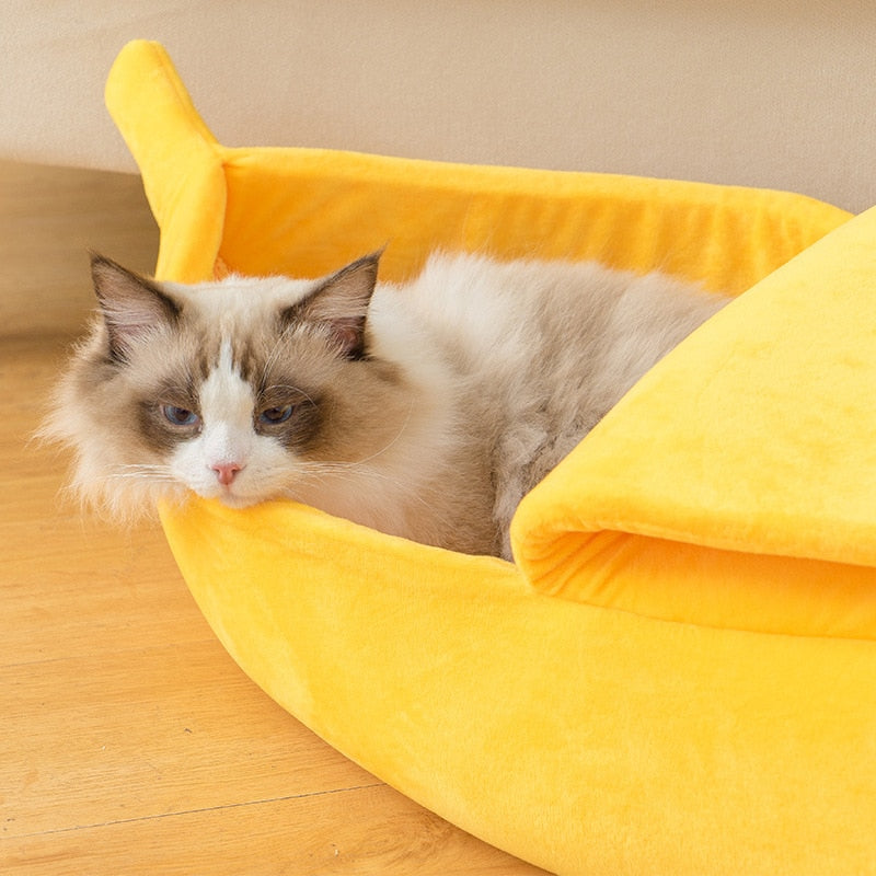 Cute Beds For Cats - Orchid Unique