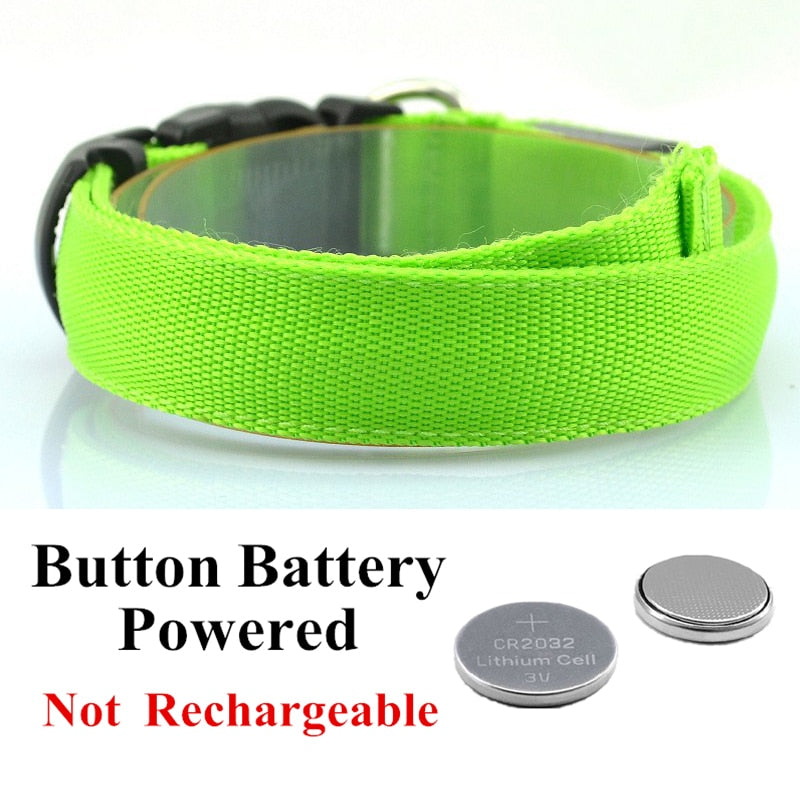 Adjustable LED Dog Collar - Orchid Unique