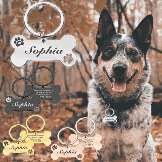 Customizable Dog Medal - Orchid Unique