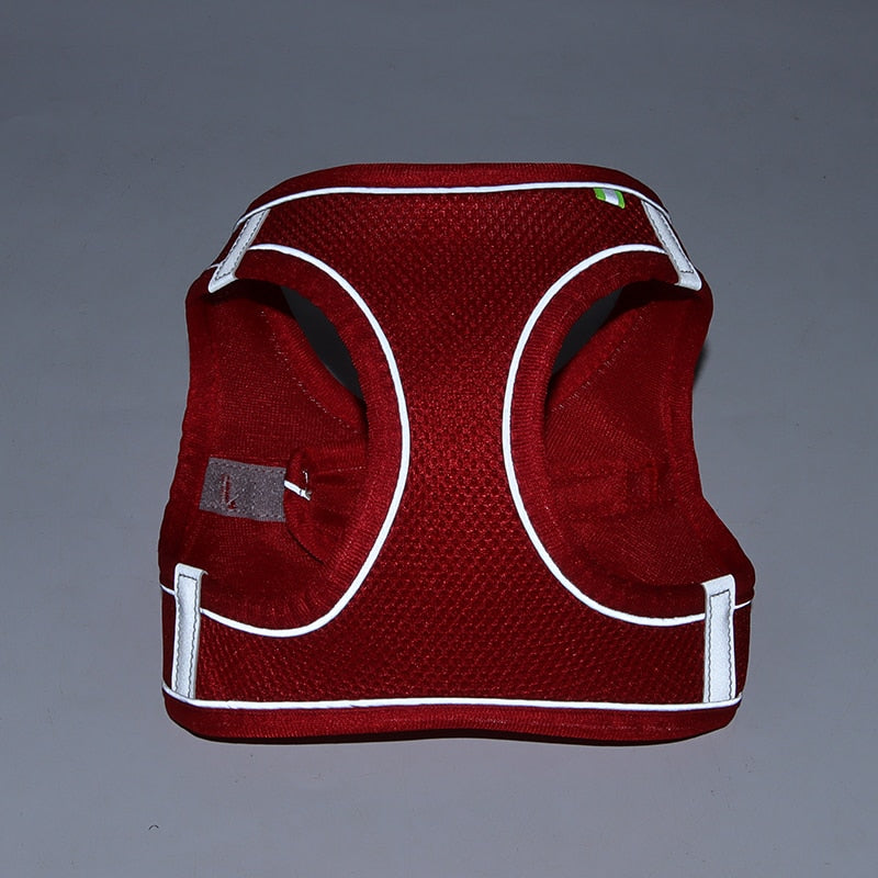 Dog Harness Leash Set - Orchid Unique