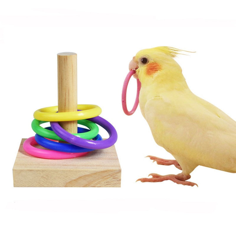 Bird training toy set - Orchid Unique