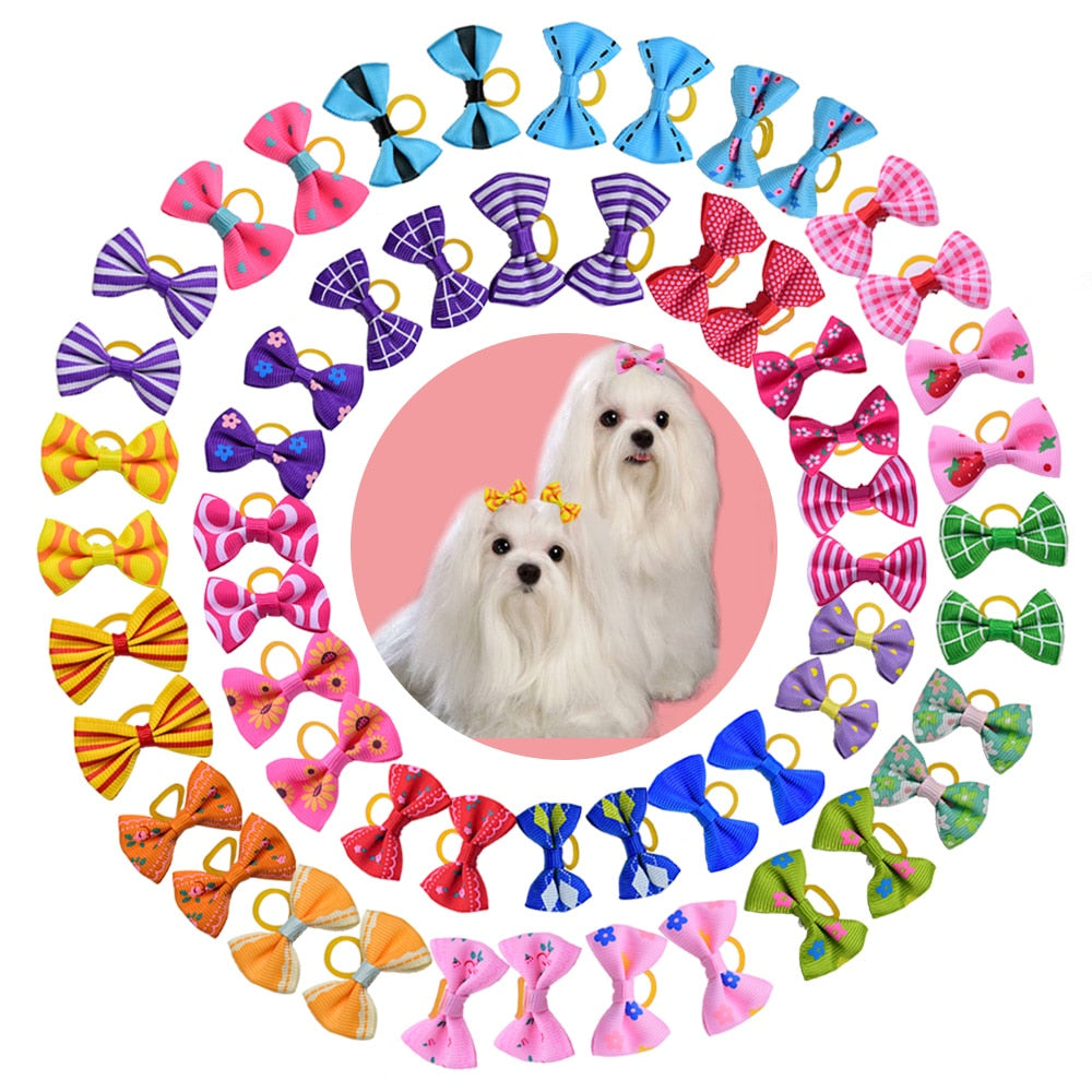 Dog Grooming Bows - Orchid Unique