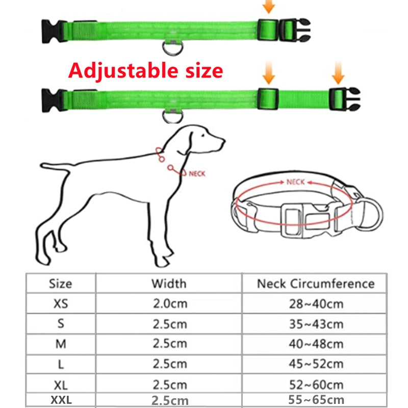 LED adjustable collar safely - Orchid Unique