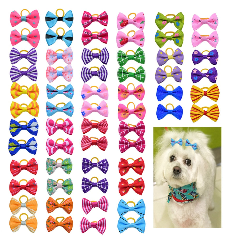 Dog Grooming Bows - Orchid Unique