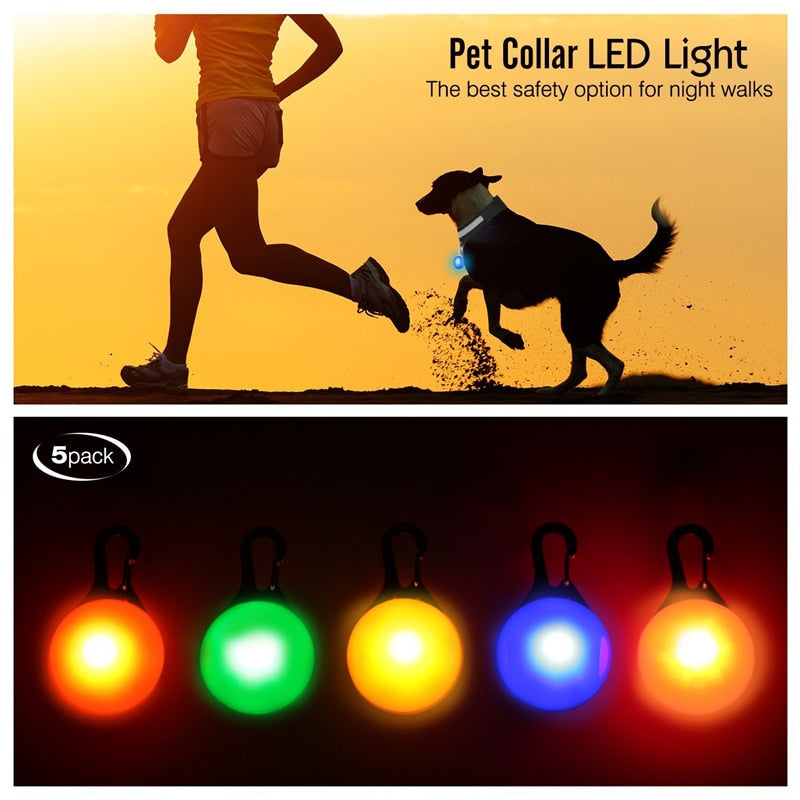 USB-charging glowing dog collar - Orchid Unique