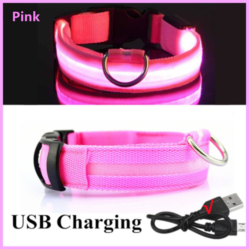 LED adjustable collar safely - Orchid Unique