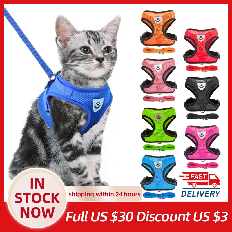 Pet Harness and Leash Combo - Orchid Unique