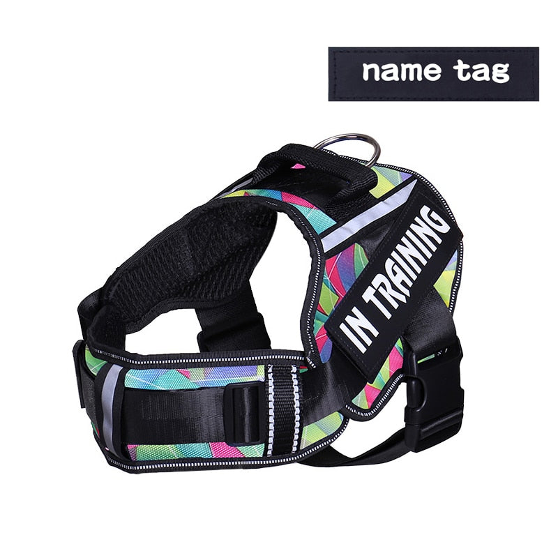 Adjustable Nylon Dog Harness - Orchid Unique