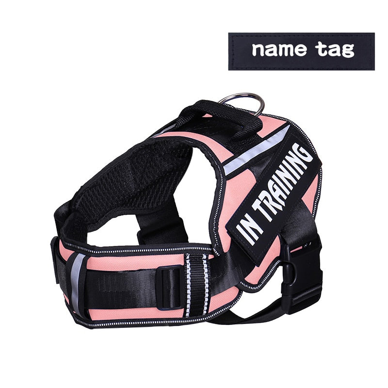 Adjustable Nylon Dog Harness - Orchid Unique