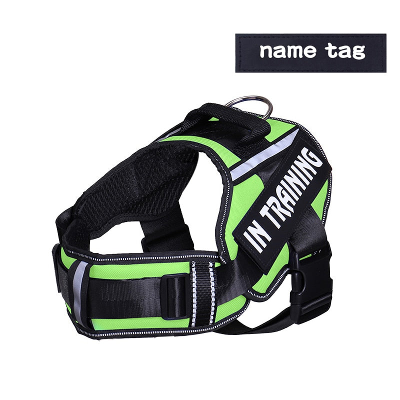 Adjustable Nylon Dog Harness - Orchid Unique