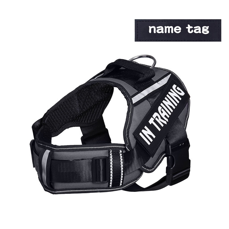 Adjustable Nylon Dog Harness - Orchid Unique