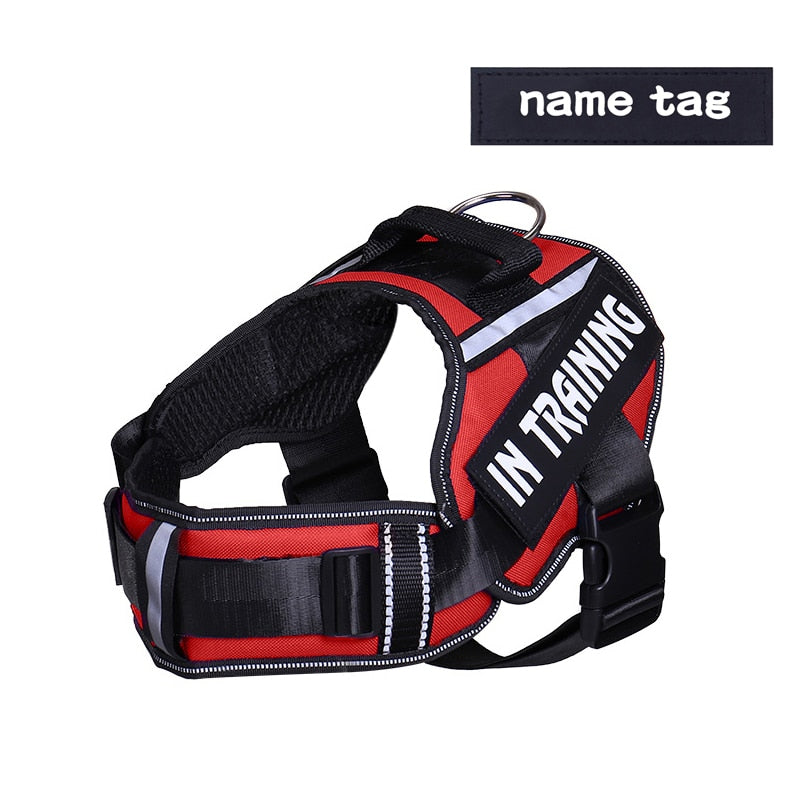 Adjustable Nylon Dog Harness - Orchid Unique