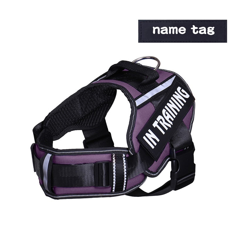 Adjustable Nylon Dog Harness - Orchid Unique