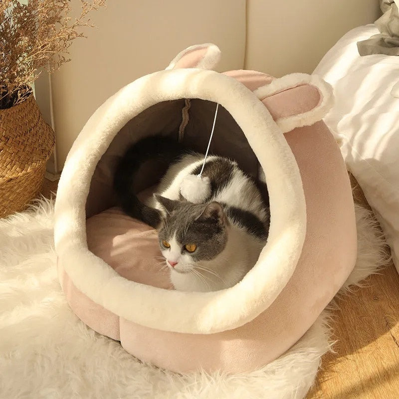 Sweet Cat Beds - Orchid Unique  Orchid Unique 