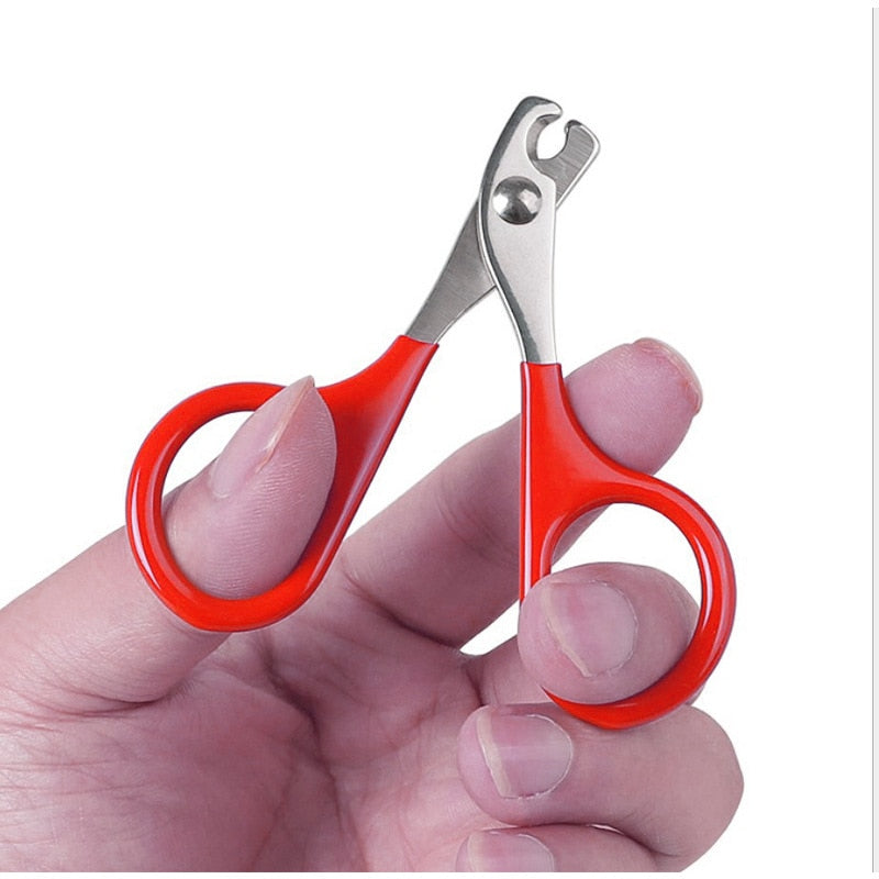 Cat Nail Scissors - Orchid Unique  Orchid Unique 