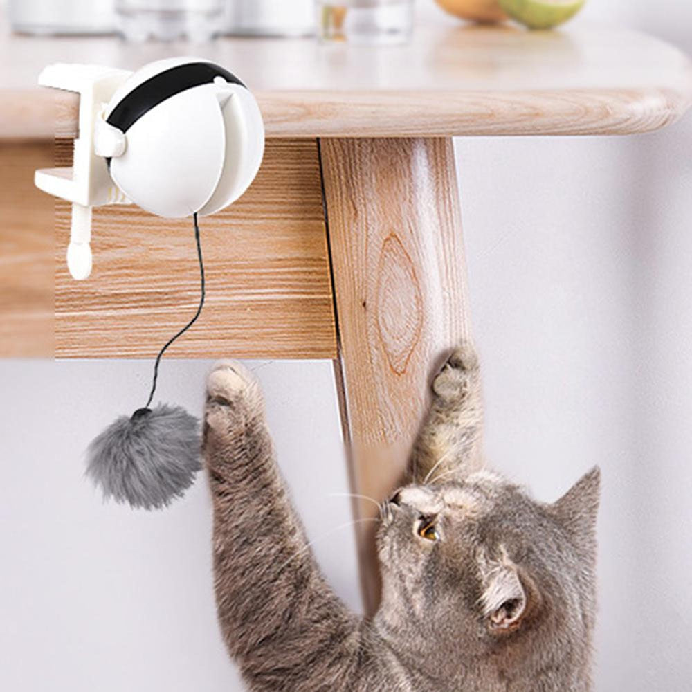 Electric Cat Toy Lifting Ball - Orchid Unique 