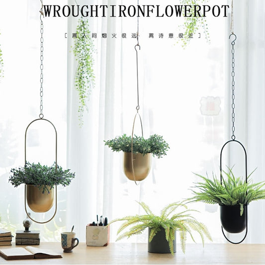 Iron Hanging Flower Pot - Orchid Unique  SPECIFICATIONS Type: Hanging Baskets Set Type: NO Metal Type: Cast Iron Material: Metal Round black, Oval black Iron Hanging Flower Pot SPECIFICATIONS Type: Hanging Baskets Set Type: NO Metal Type: Cast Iron Material: Metal (Store description)  1  62760194 USD (Store description) 14:200006151#Round black, 14:200006153#Oval black Round black, Oval black Orchid  Vases Orchid Unique 