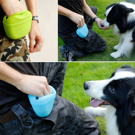 Portable Dog Training Waist Bag - Orchid Unique 